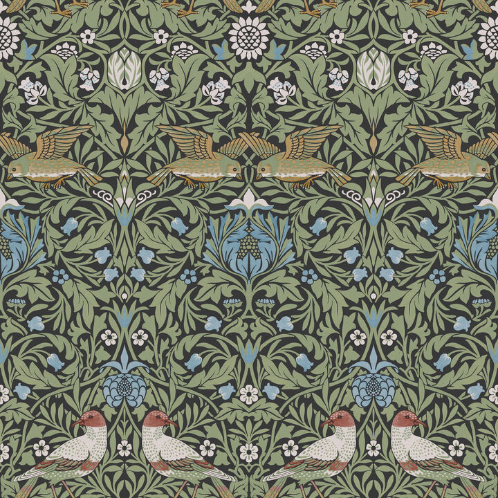Bird Multicolor Floral Thicket Wallpaper