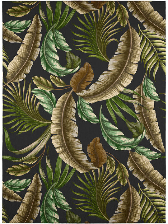 Tropics TC1 Collection