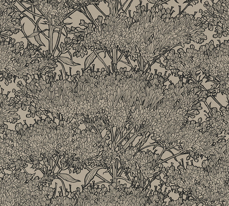 Hornbeam Brown Tree Wallpaper