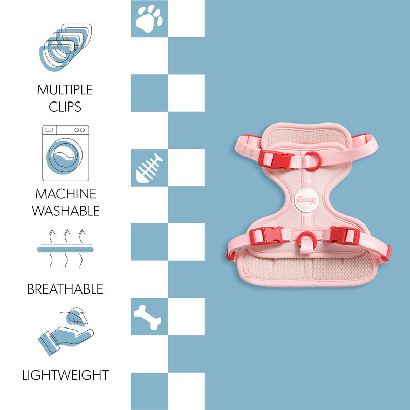 Arlo Adjustable Soft Padded No Pull Pet Harness with 3 Buckles and 3 Leash Clips