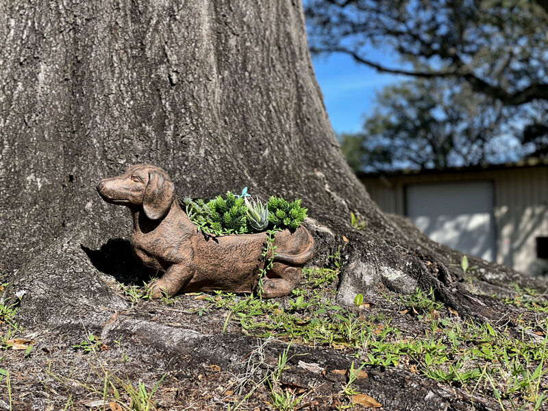 Resin Distressed Rustic Brown Finish Dachshund Dog Indoor Outdoor Planter Pot image number 6