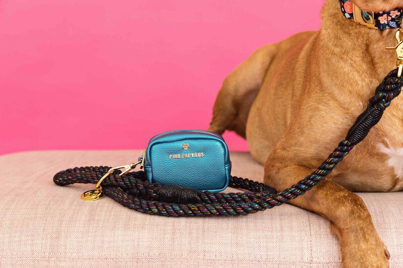 Hudson Waste Bag Holder and Treat Pouch