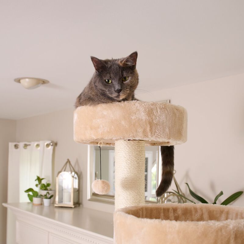 Armarkat Royal Perch Cat Mansion Tree