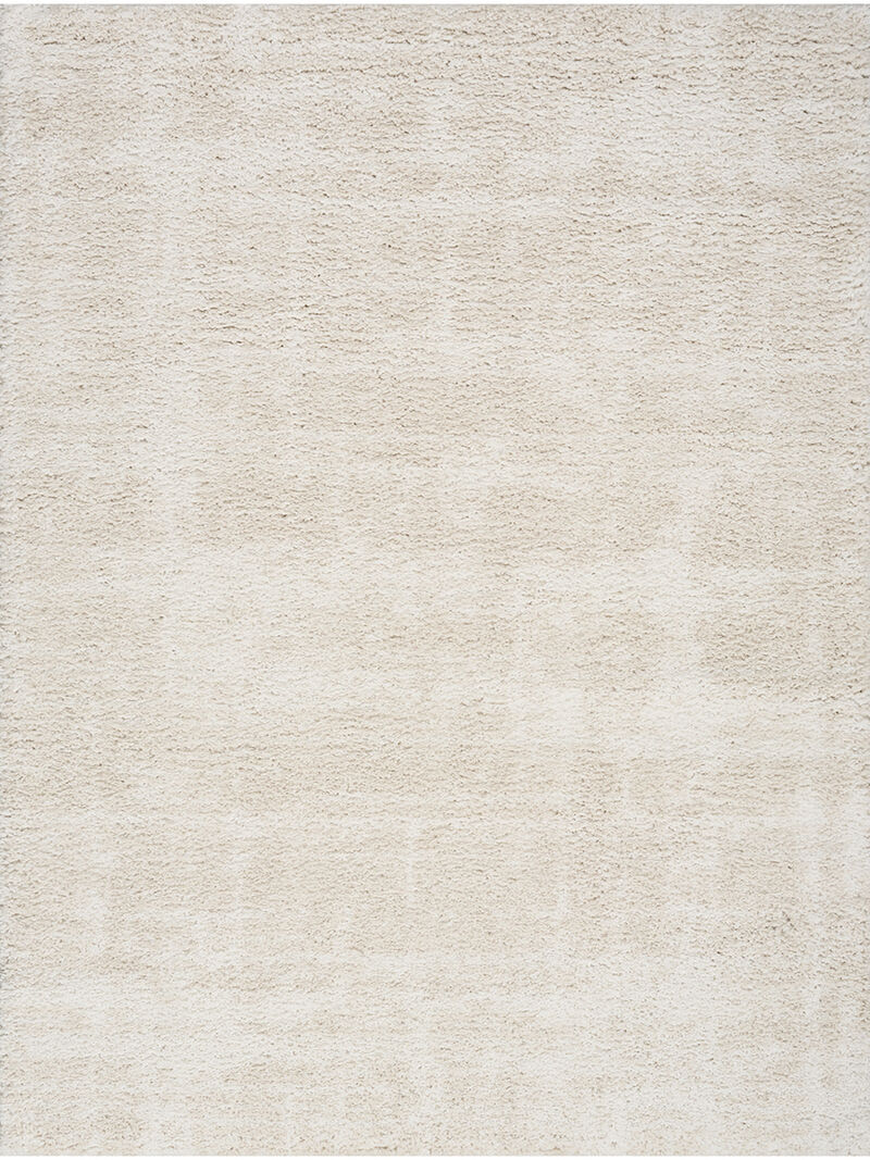 Modern Shag MMD04 Ivory/Beige 3'11" x 5'11" Rug