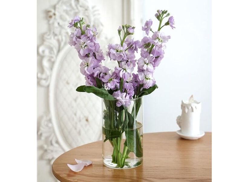 Set of 12 Glass Cylinder Vases &ndash; 6" Tall Wedding Centerpieces & Candle Holders image number 1