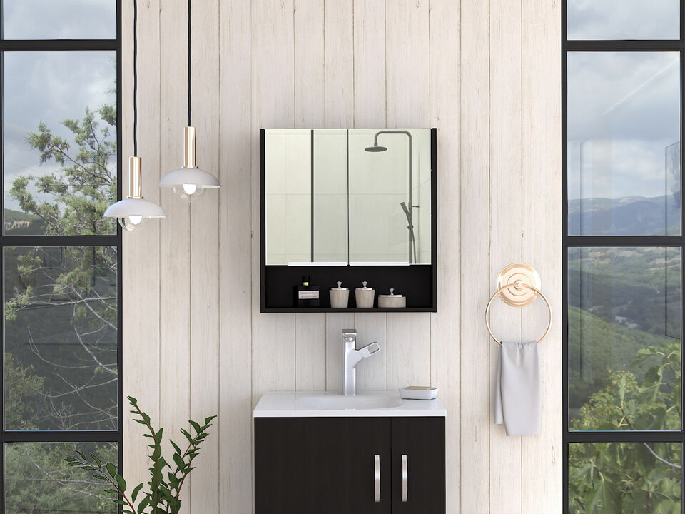 Manchester Rectangle Medicine Cabinet with Mirror Black Wengue