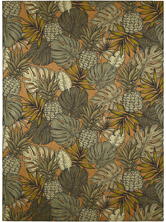 Tropics TC11 Collection