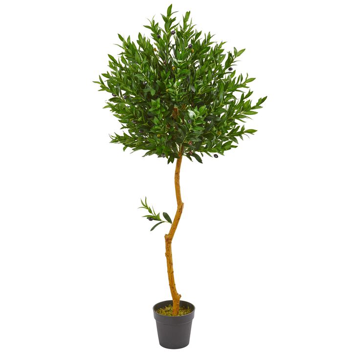 HomPlanti 58 Inches Olive Topiary Artificial Tree UV Resistant (Indoor/Outdoor)