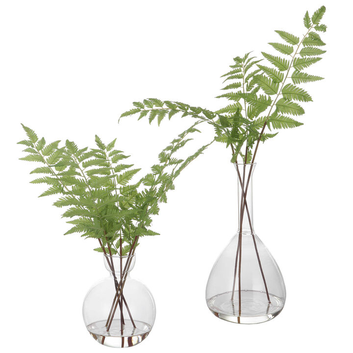 Country Ferns Set Of 2