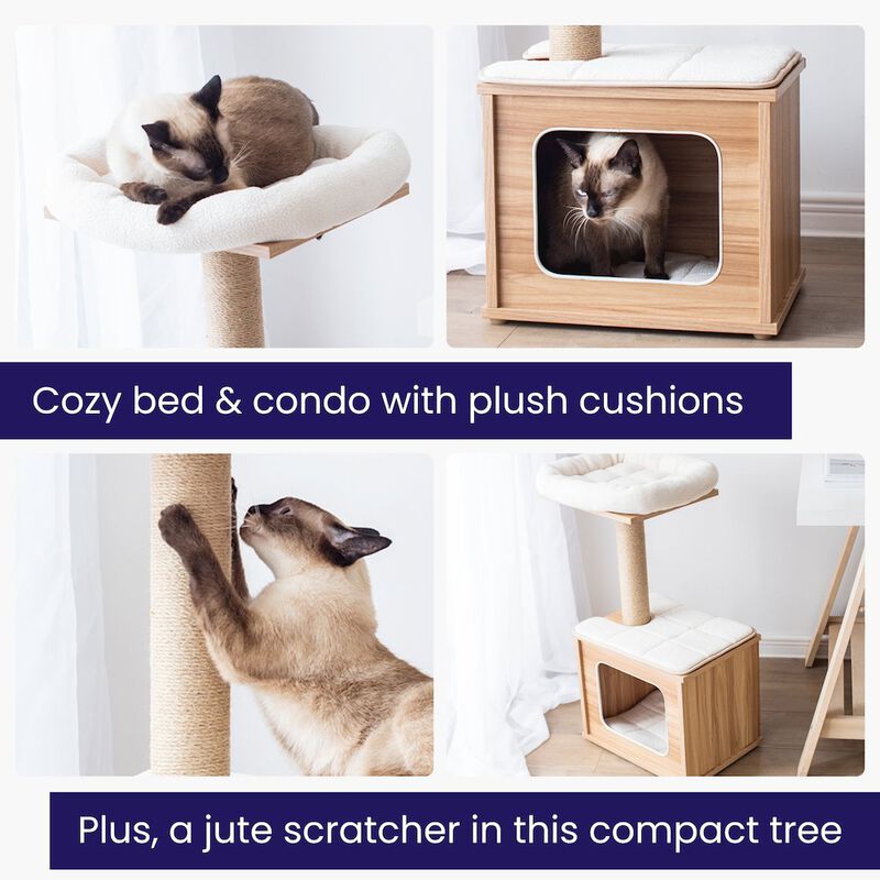 Catry Cedar 3-Level 29.7" Cat Tree for Small Cats & Kittens with Replaceable Parts