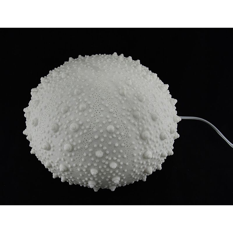 Large White Sea Urchin Coastal Accent Lamp 16 Inch Diameter image number 2