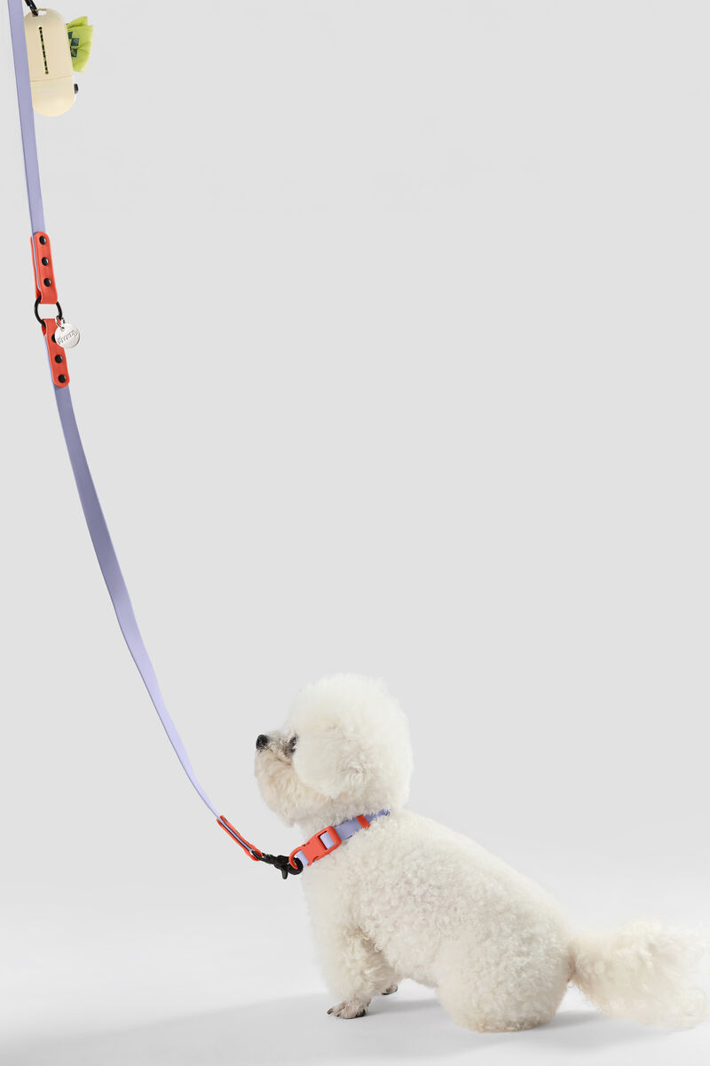 Luna  Adjustable 6-in-1 Waterproof Hands-Free Leash and Collar with LED Flashlight