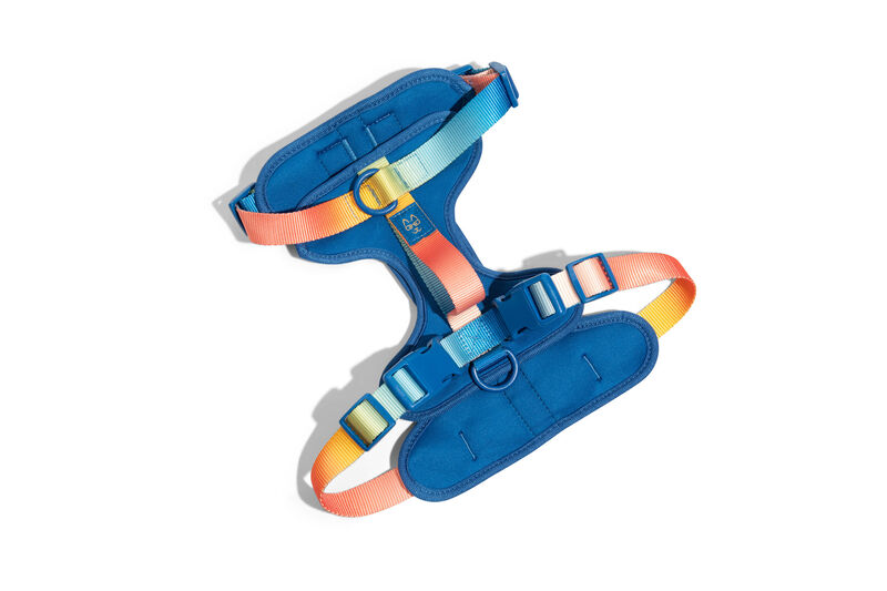 Atlas Dog Harness image number 0