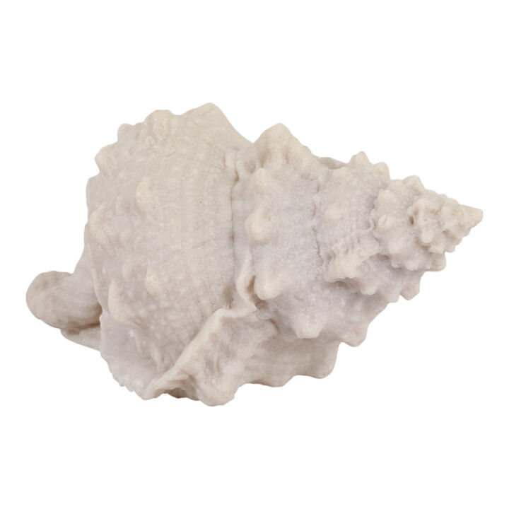 10x5x5 Resin Sand Cong Shell