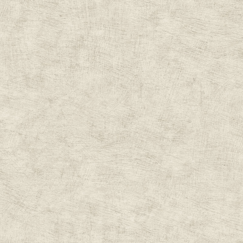 Pampas Plain Brushed Texture Wallpaper image number 0