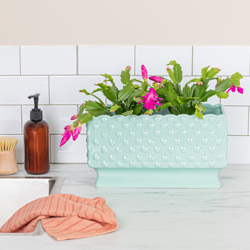 Ceramic Hobnail Planter with Scalloped Edge and Polka Dots, Mint image number 1