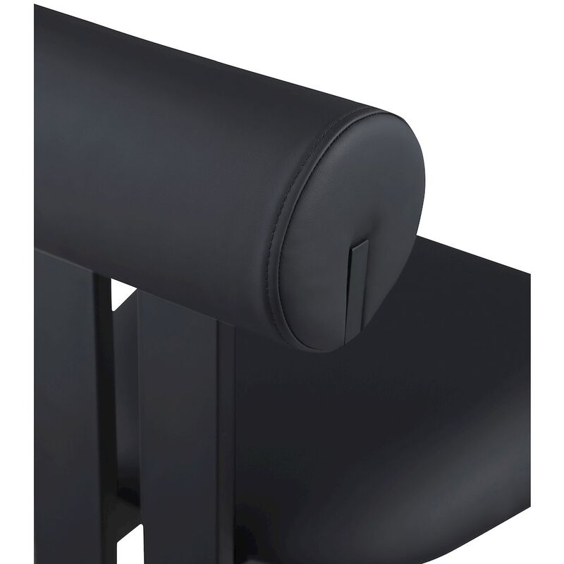 Meridian Furniture Dario Black Vegan Leather Dining Chair, Set of 2