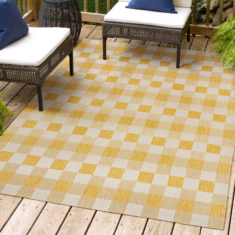 Darcy Traditional Geometric Bold Gingham Indoor/Outdoor Area Rug