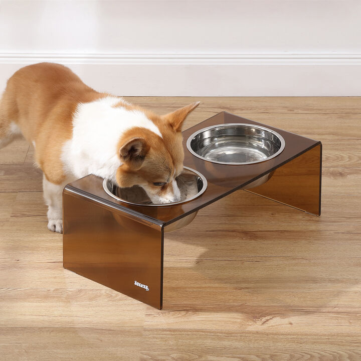 Keaton Modern Acrylic Rectangular Elevated Pet Feeder with Stainless Steel Bowls