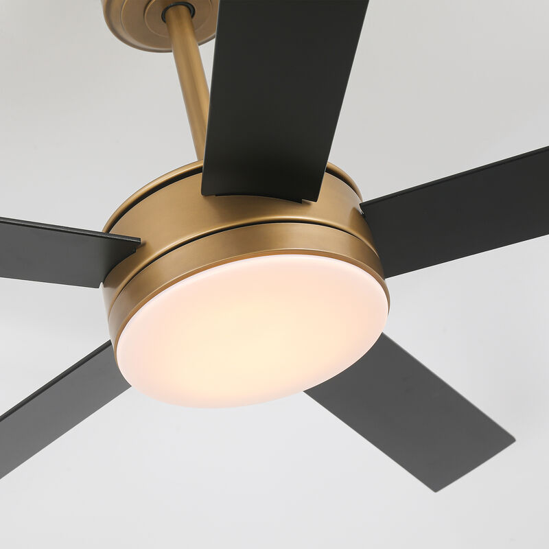 48" Modern Gold Reversible Dimmable Smart 5 Blade Ceiling Fan with APP Control and Remote, Light
