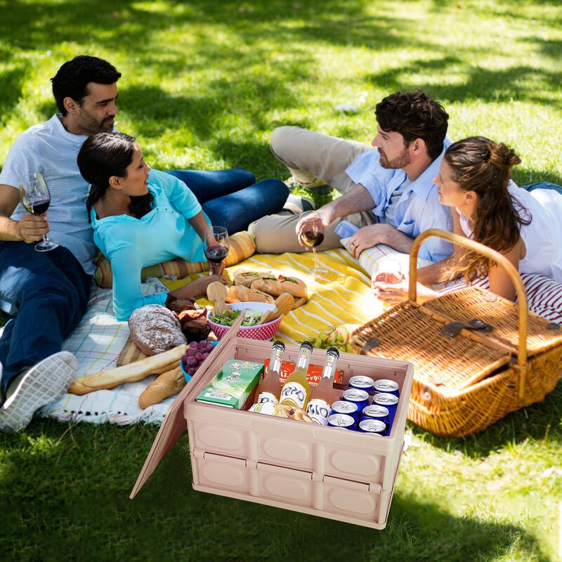 2Pcs 30L Collapsible Storage Bins