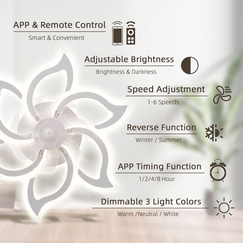 ELEMENT ACE Modern Ceiling Fan with Remote Control, 6 Speed Settings and Adjustable Lighting image number 8