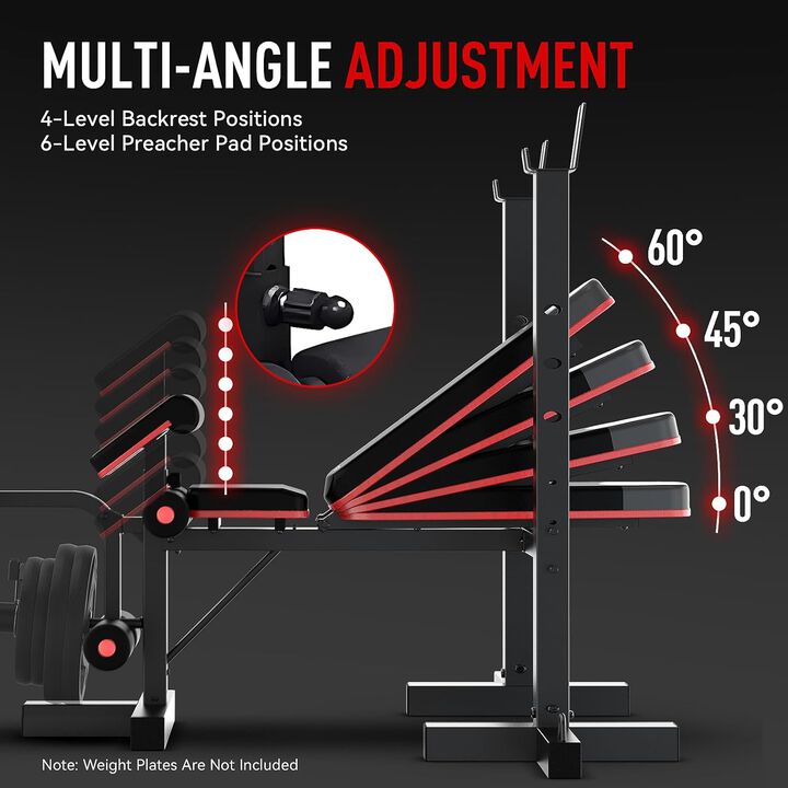 HARISON 6-in-1 Weight Bench Set, 660 lb Capacity, Leg Extension & Curl, Adjustable Bench with Rack (HR-G30813)