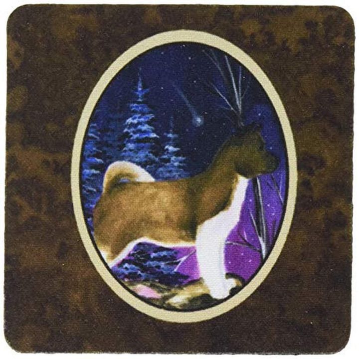 Caroline's Treasures SS8352FC Starry Night Akita Foam Coasters Set of 4 (Set of 4), 3.5 H x 3.5 W, Multicolor
