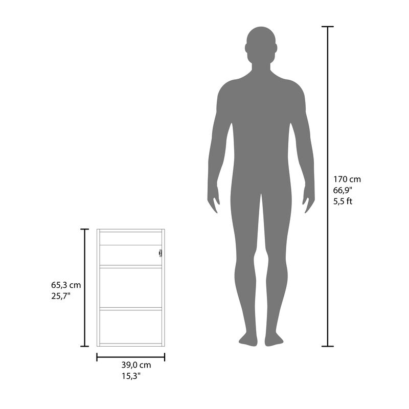 Kiana Medicine Cabinet 25.7" H, 1 Door, 3 Shelves, 1 Mirror, White
