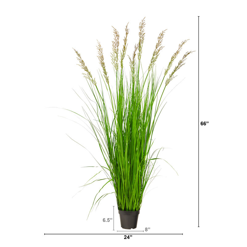 Hivvago 5.5" Plum Grass Artificial Plant - Green