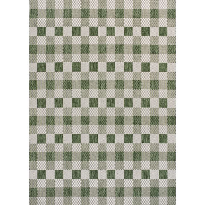Darcy Traditional Geometric Bold Gingham Indoor/Outdoor Area Rug