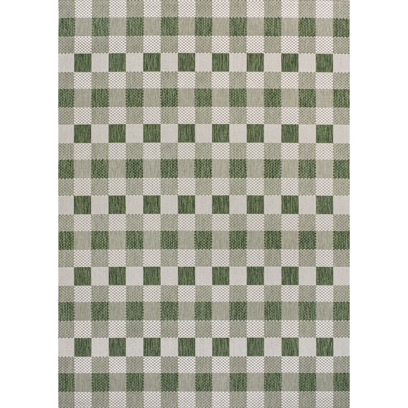 Darcy Traditional Geometric Bold Gingham Indoor/Outdoor Area Rug