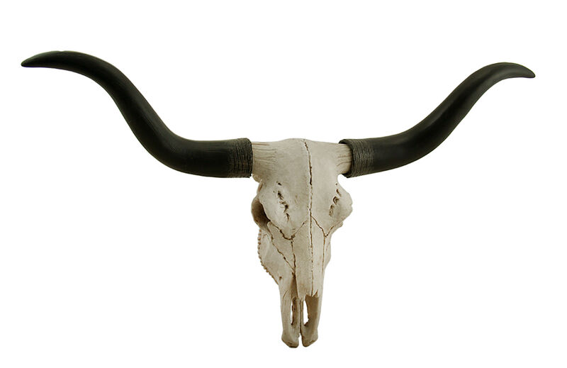 Black & Bone Decorative Longhorn Trophy Skull Wall Sculpture 20 Inch image number 0