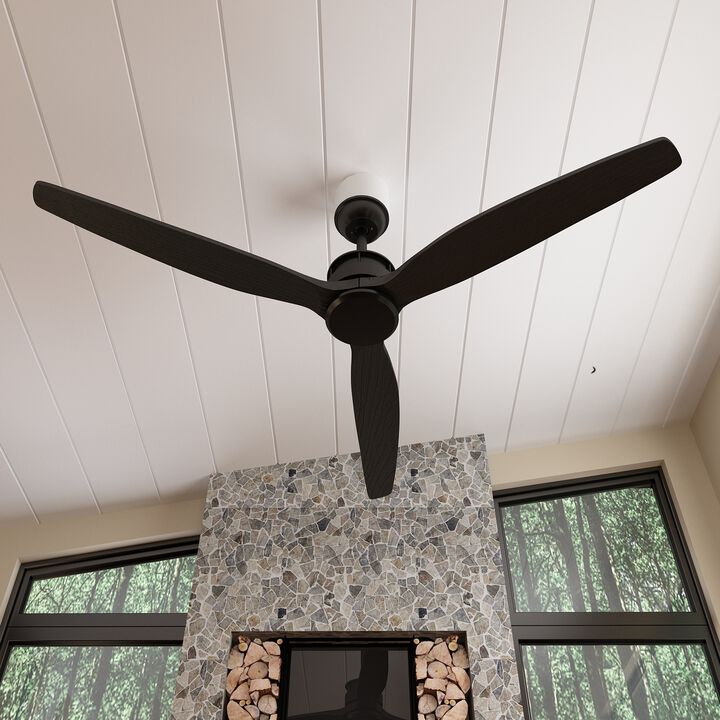 Indoor/Outdoor Use 60 in. Black 3 Wooden Blade Propeller Ceiling Fan with Remote Control, DC Motor, 6-Speed Adjustable