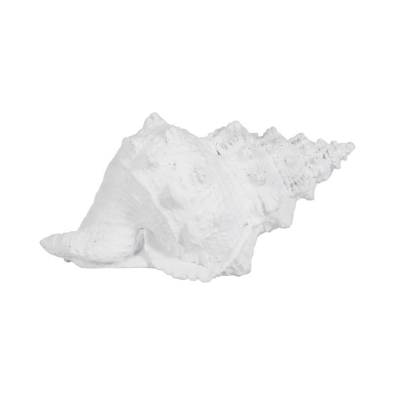 9" Conch Shell, White image number 0