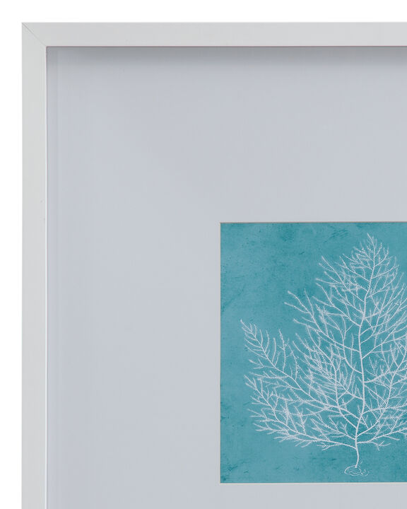 White Coral on Blue S/4