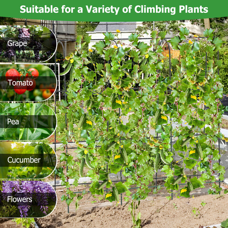 U-Shaped Tall Garden Arched Trellis for Climbing Plants