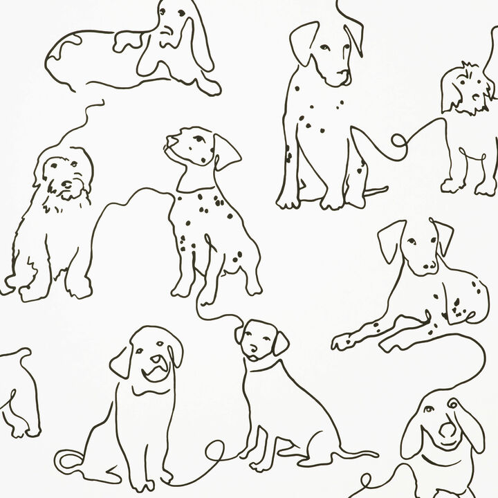Ansel Black Dog Sketches Wallpaper