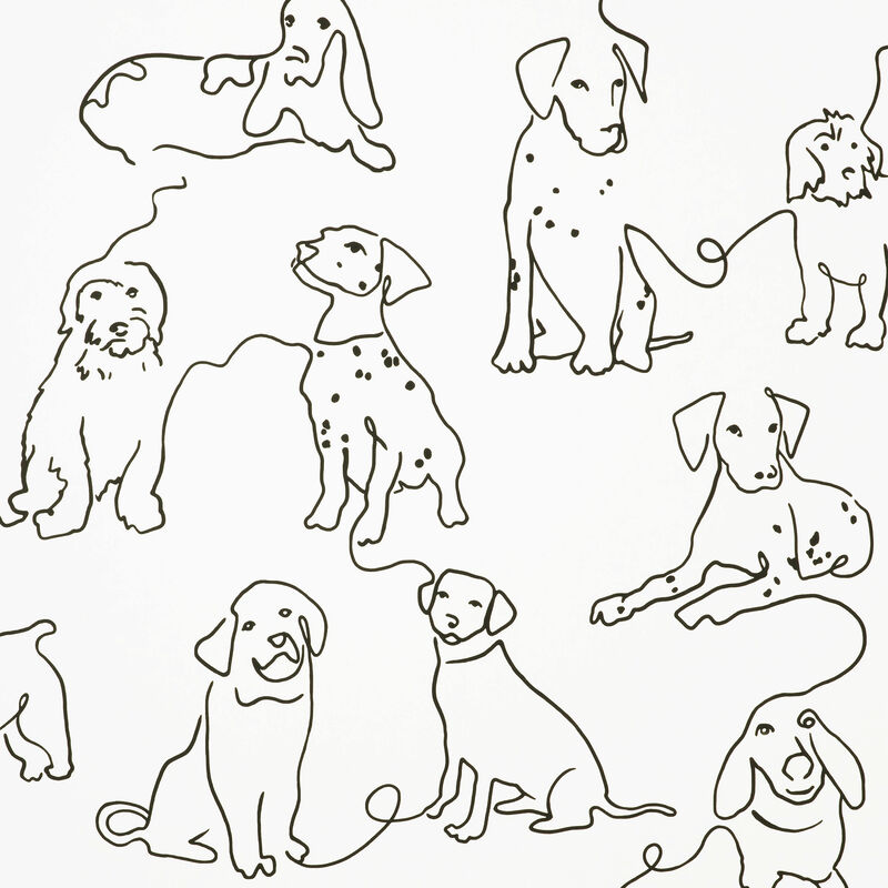 Ansel Black Dog Sketches Wallpaper image number 0