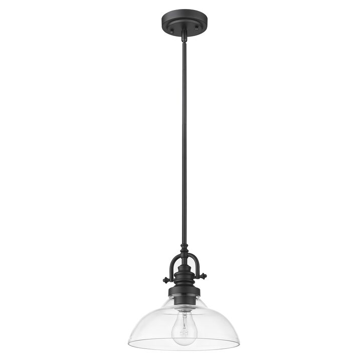 Hivvago Matte Black Hanging Light with Glass Dome Shade