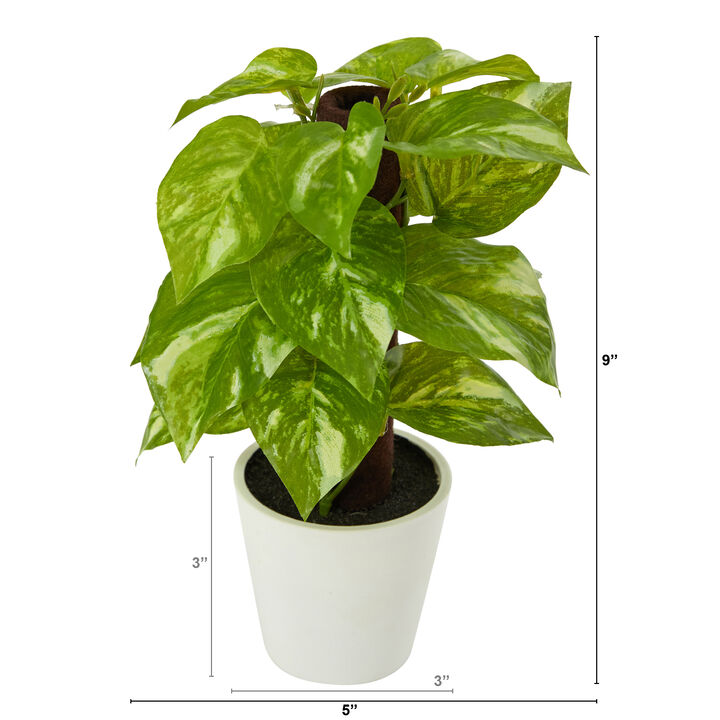 HomPlanti 9" Pothos Artificial Plant in White Planter (Real Touch)