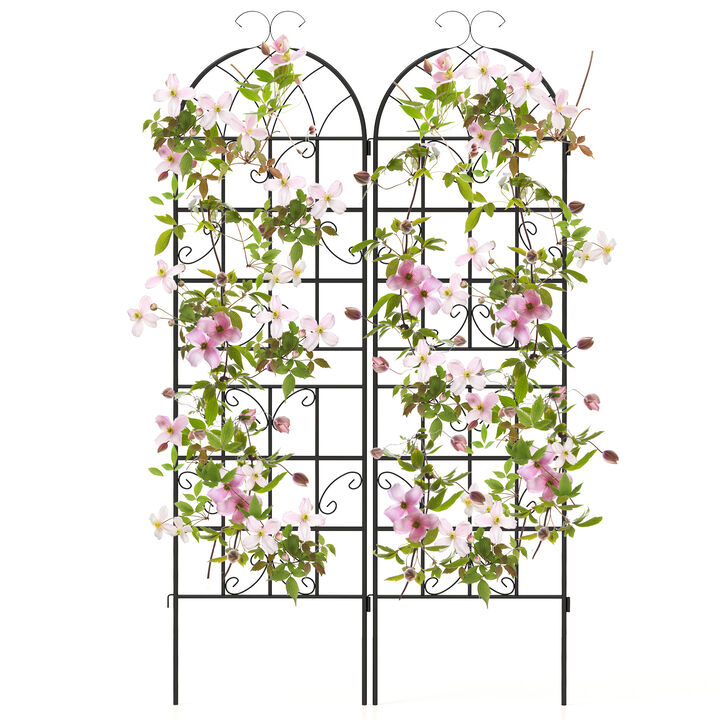 Set of 2 Metal Garden Trellis for Climbing Plants, 71 x 20 Inch Outdoor Support Frame