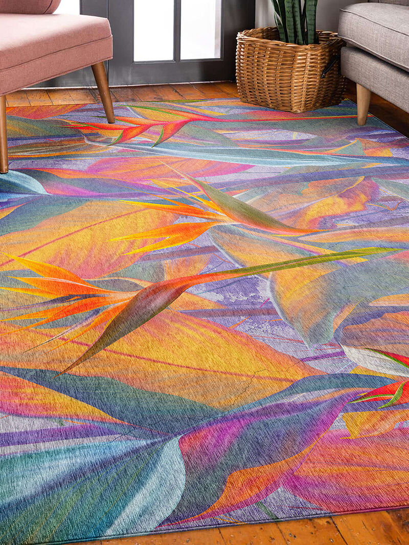 Tropics TC14 Collection