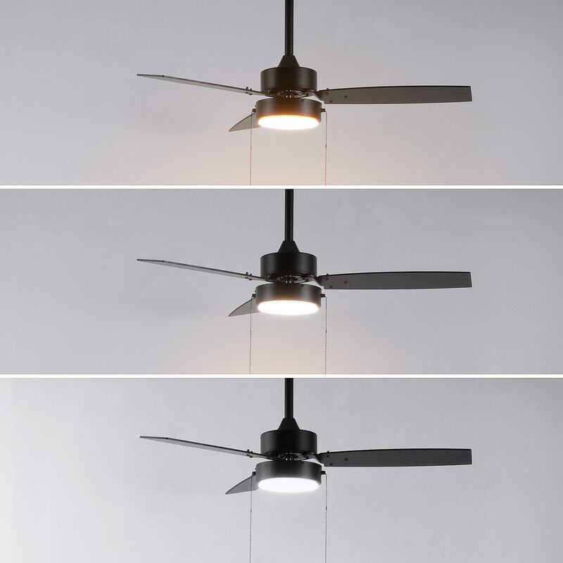 Blair 1-Light Modern Minimalist 3-Speed Iron Height Adjustable Integrated LED Ceiling Fan with Pull Chains