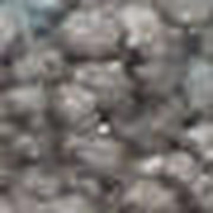 HomeRoots Botanical Leaves Area Rug