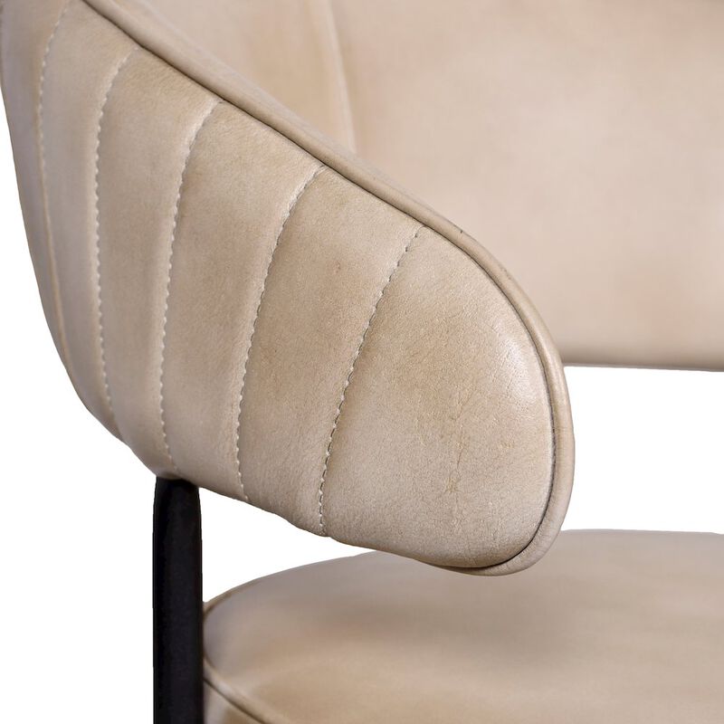 Barrett Genuine Leather Side Chair in Stone 2-Piece Set