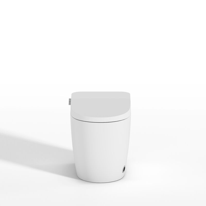 FUFU&GAGA Intelligent Ceramic Glazing Toilet with Automatic Opening Cover, Foot Sensor Flushing, Heated Seat, and Warm Air Drying (26.3 in. W x 15 in. D x 17.5 in. H), White