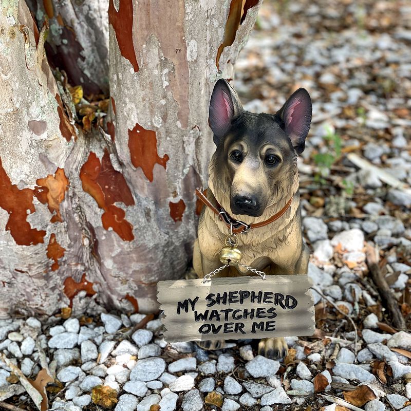 I Don't Dial 911 German Shepherd Guard Dog Warning Statue image number 7