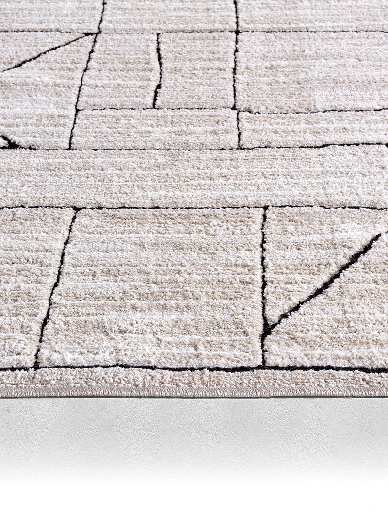 Eva Farhan Tan/Taupe 9'6" x 13'6" Rug image number 4