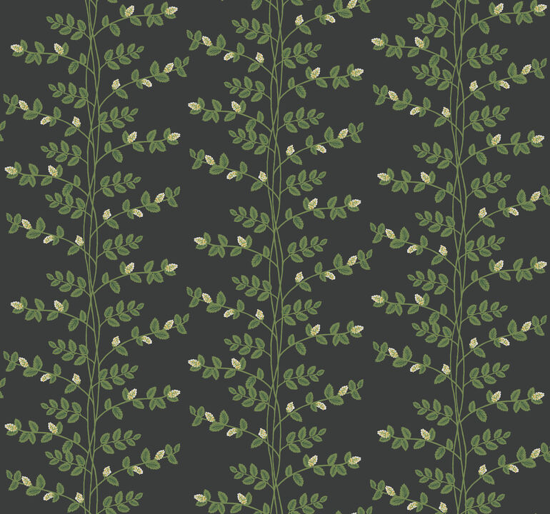 Climbing Vine Black Wallpaper